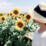 Hitomi Yamashita