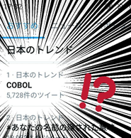 逆に、ＣＯＢＯＬとかはまったくできない....。古い大規模システムのリプレイス等においては、ほぼ無力な会社ともいえる。