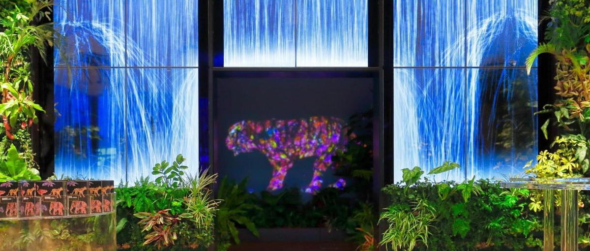 DMM英会話事業のCRM戦略をリードするグロースプランナー募集！