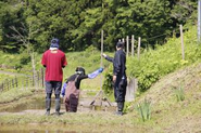 5月に開催された田植えの様子です。