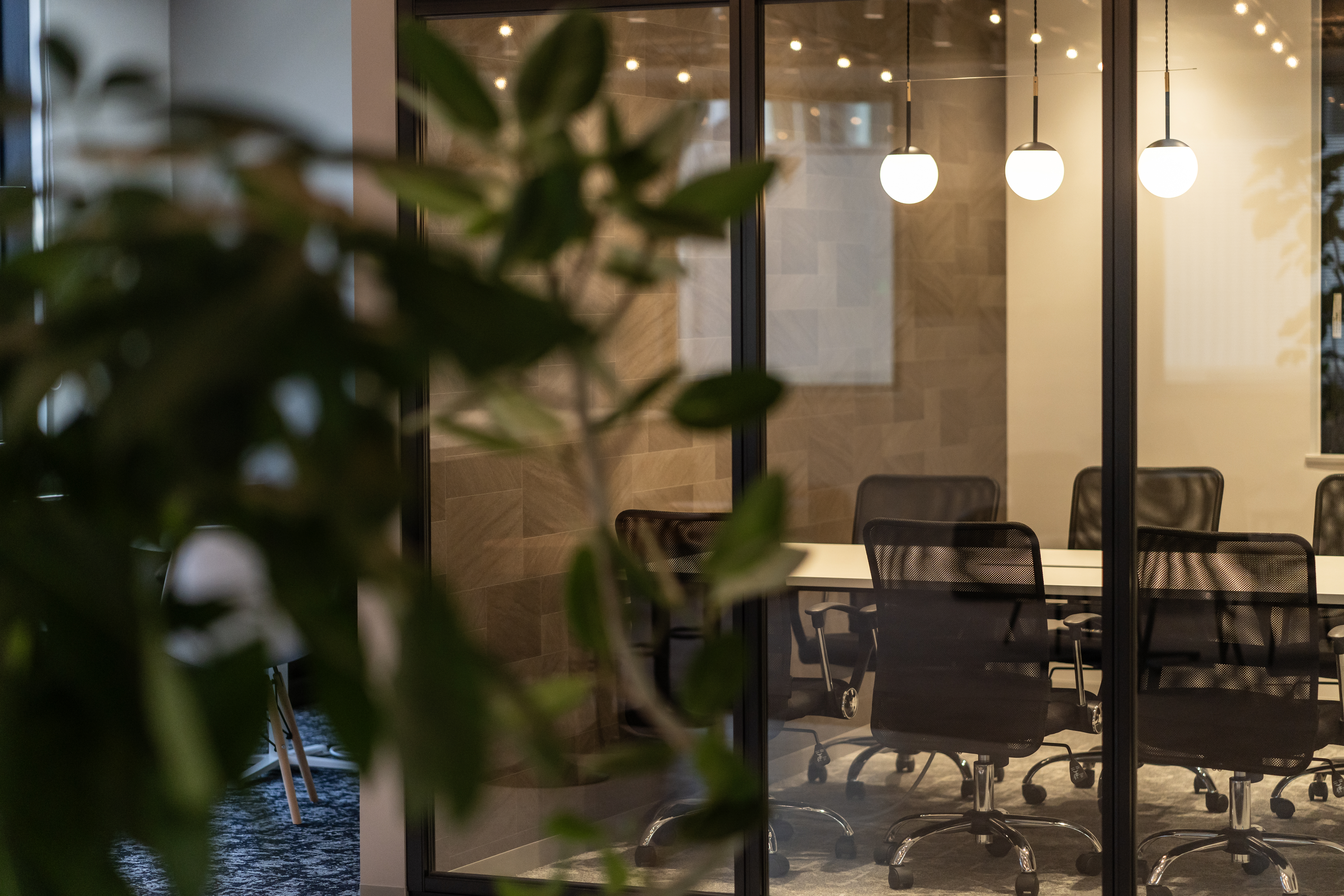 【20歳で会社を起業の経緯とこれから】ビジネスで挑戦を続ける理由とこれからのビジョンとは