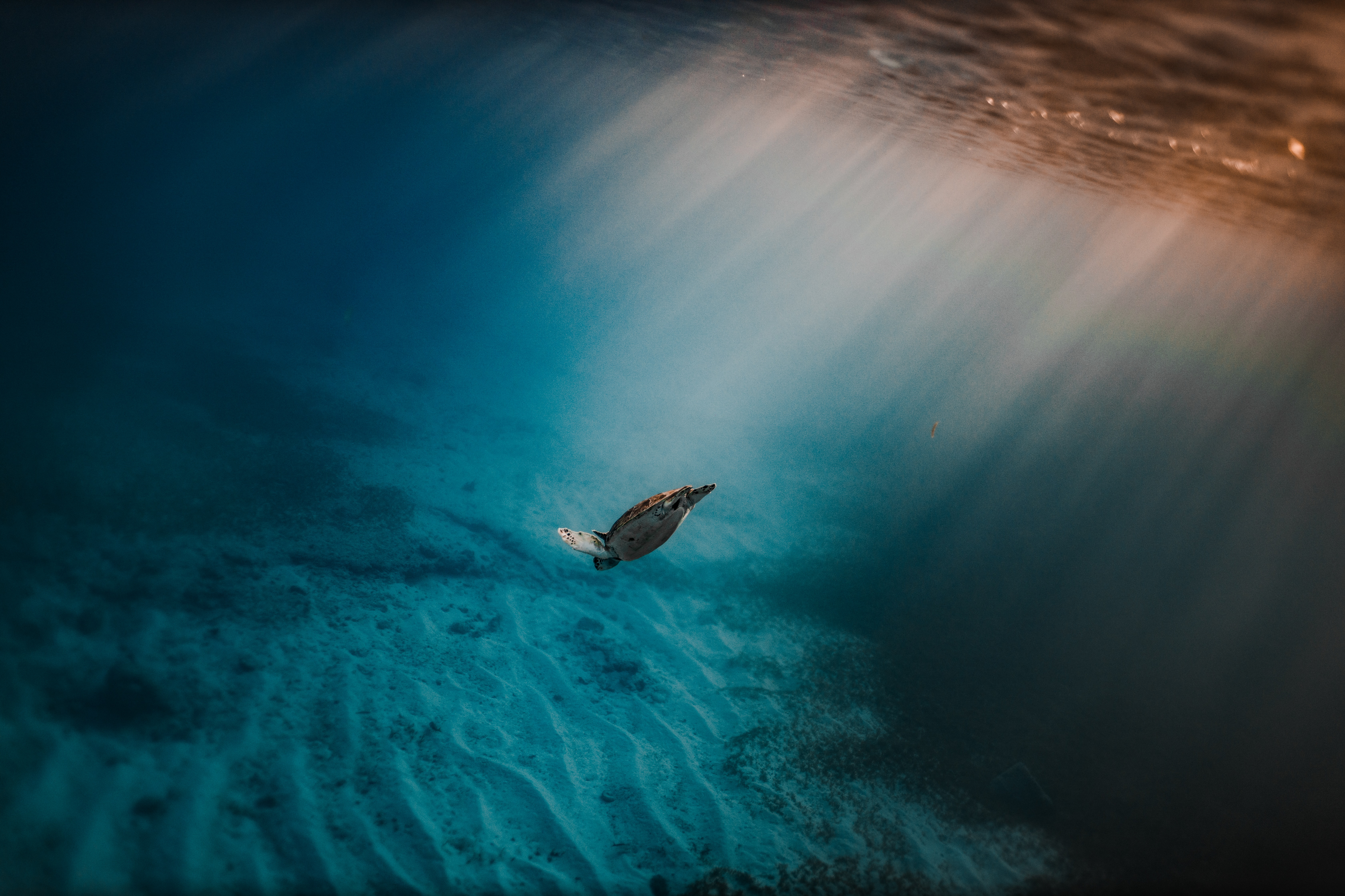 ちょっと長めの自己紹介