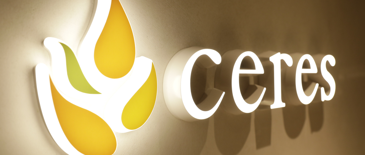 将来有望ベンチャーの発掘をお任せします！ベンチャー投資担当Wanted！！