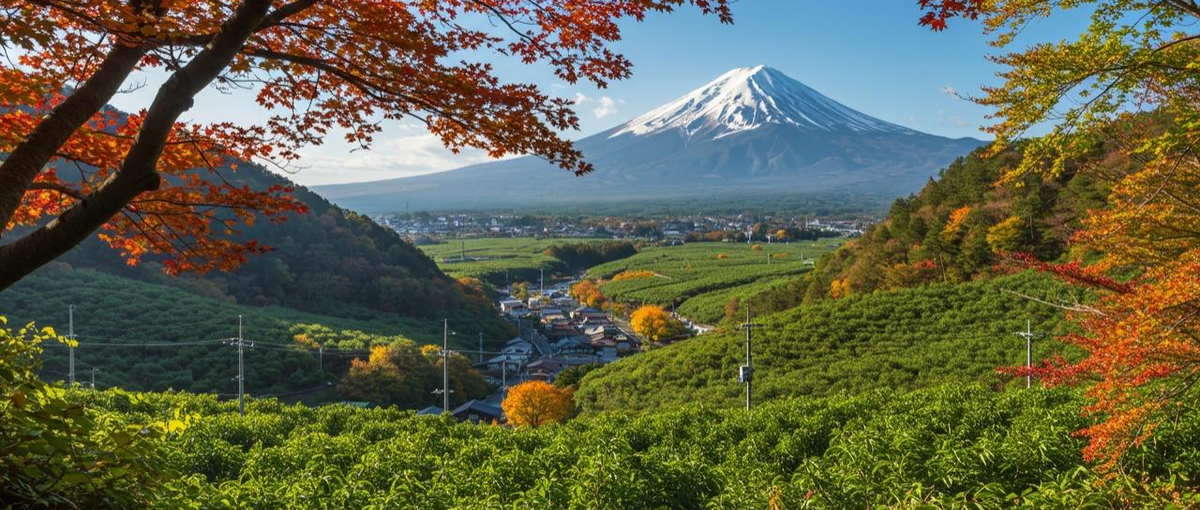 27卒｜日本全国の50以上の地域と連携！地域活性化を0から推進します！