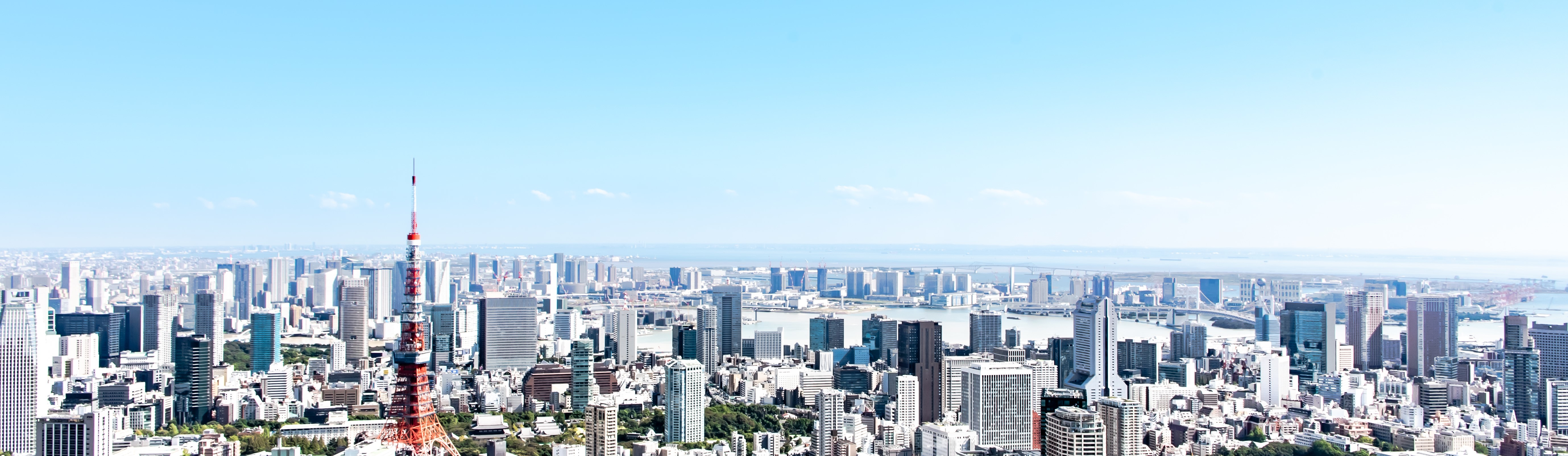 【東京本社】オフィス紹介🌎