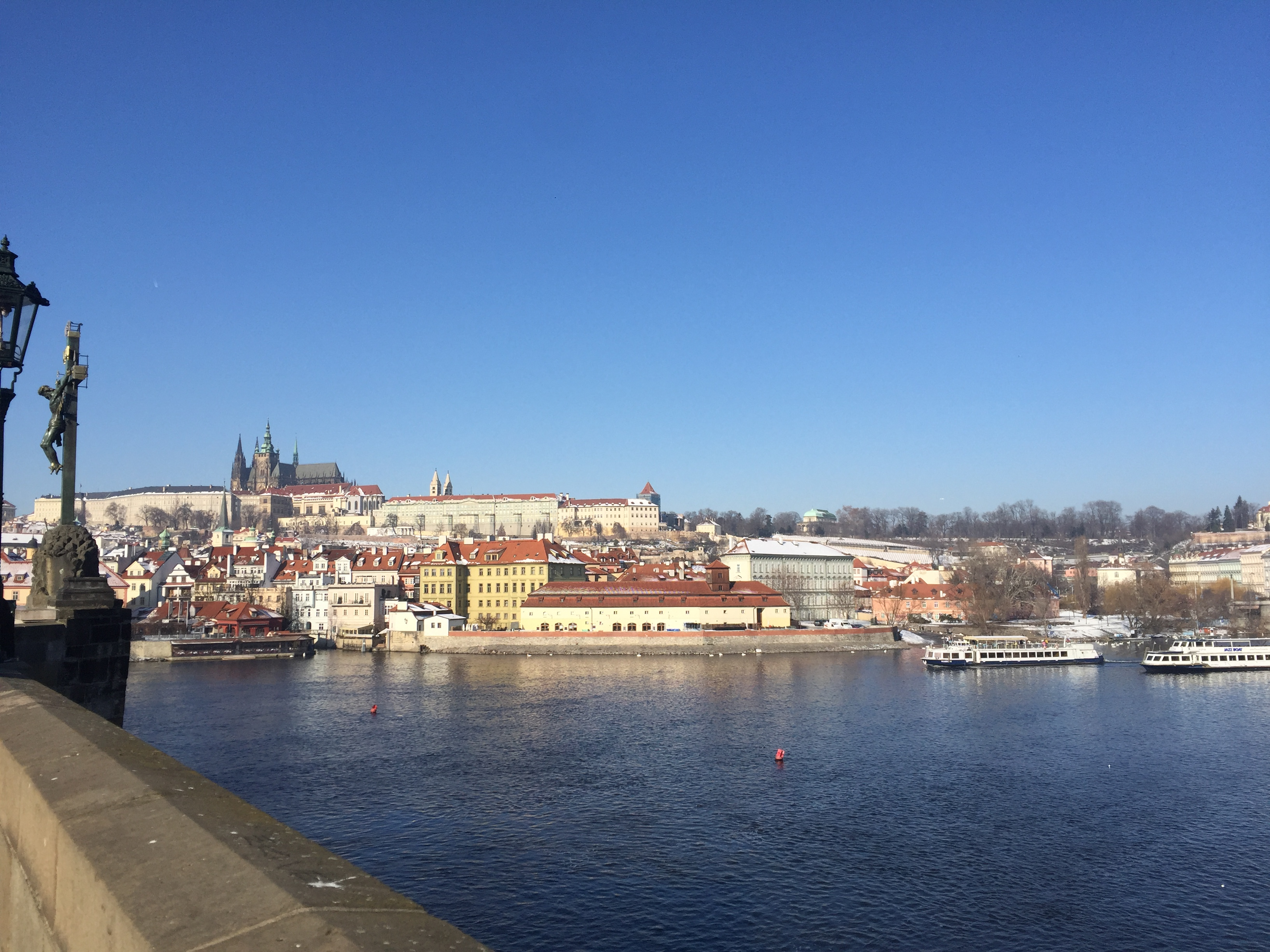 【学生インターンインタビュー】学べるスキルは、日常生活や社会に出た後に必ずプラスの影響を与えるものになる