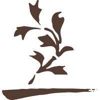 株式会社グラスルーツの会社情報