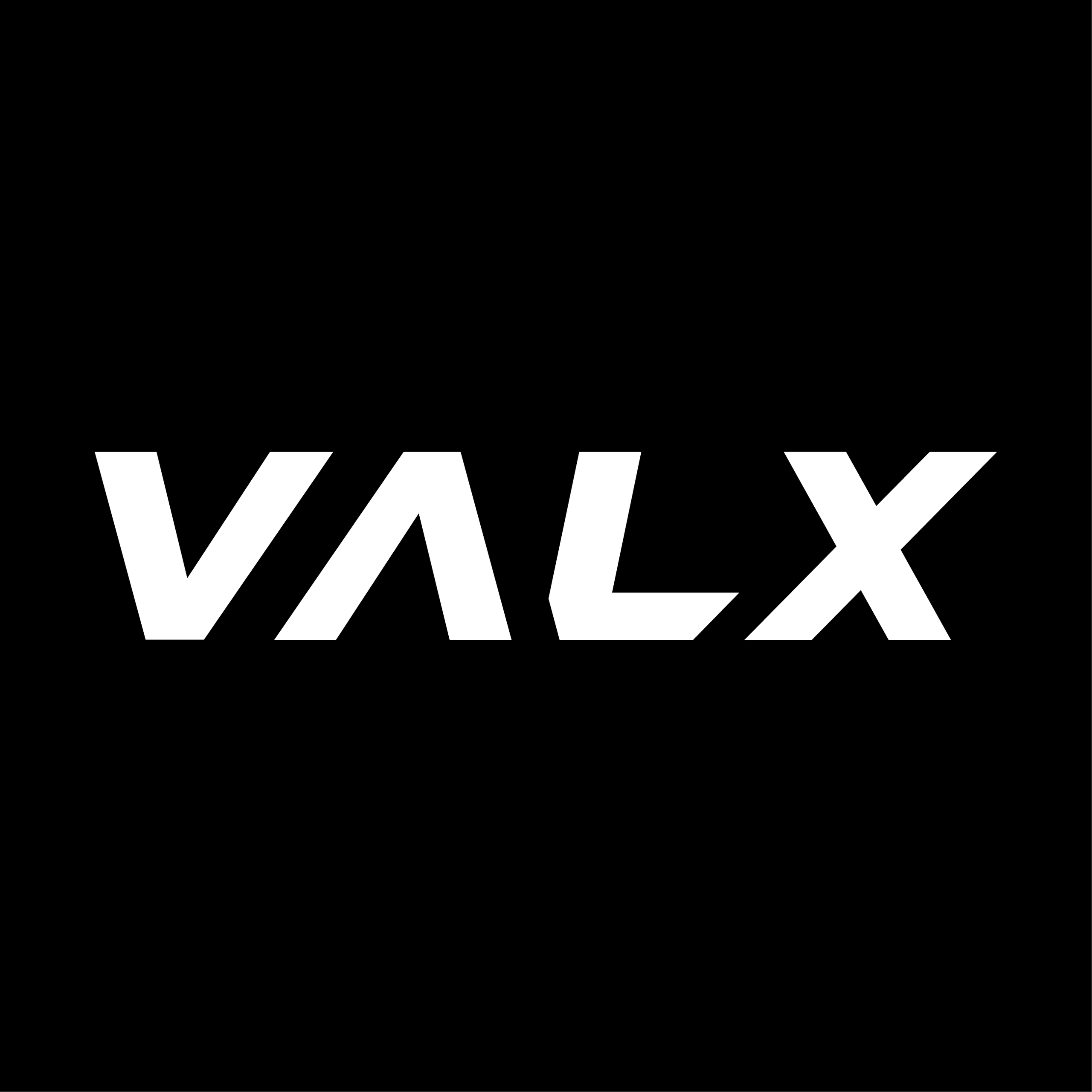 VALX株式会社