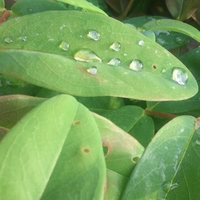 翼 翔太さんのプロフィール