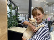 オフィスには保護犬・保護猫が暮らしています。