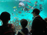 定期的な外出で、集団行動を身につけ、外の世界への興味関心を育てます。