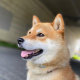 牧野 遥香