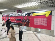 ビール半額を訴求した中吊り広告では、インパクトのあるデザインで大阪中心部の電車内をジャックし、来場促進を測りました。