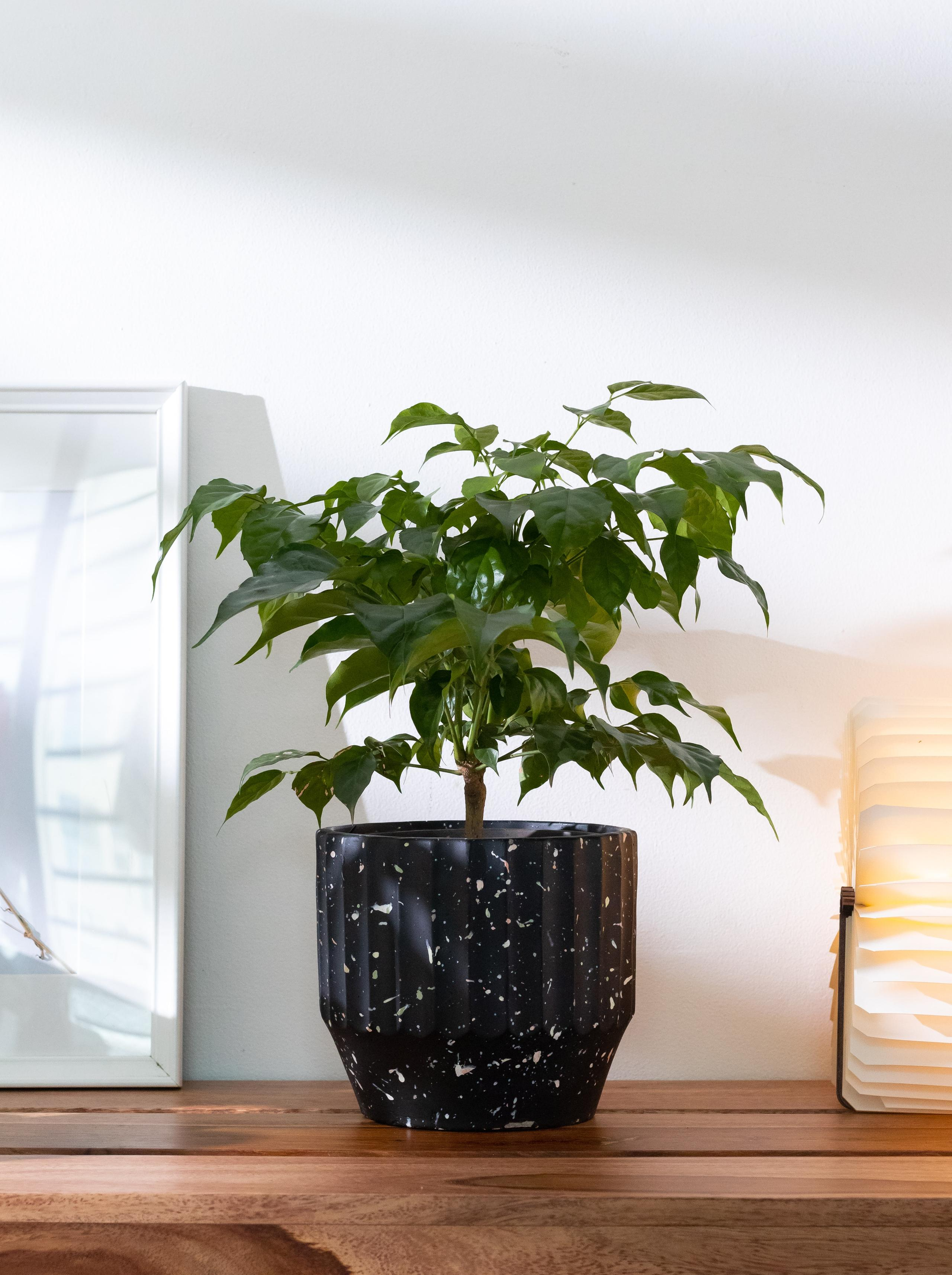 株式会社ケイワン建物　【ご挨拶】