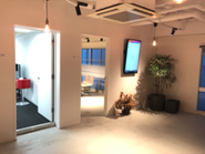 渋谷の真ん中にありつつも、落ち着いたオフィスで仕事をしています