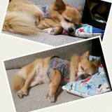 おおたに ゆう