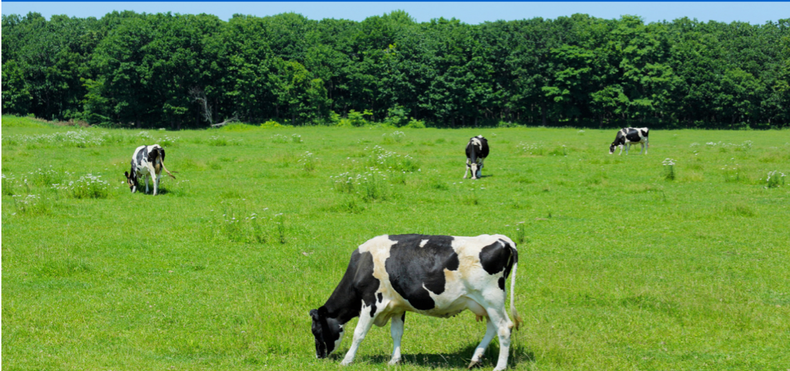 【12/8更新】北海道エリア イベント一覧(25卒)