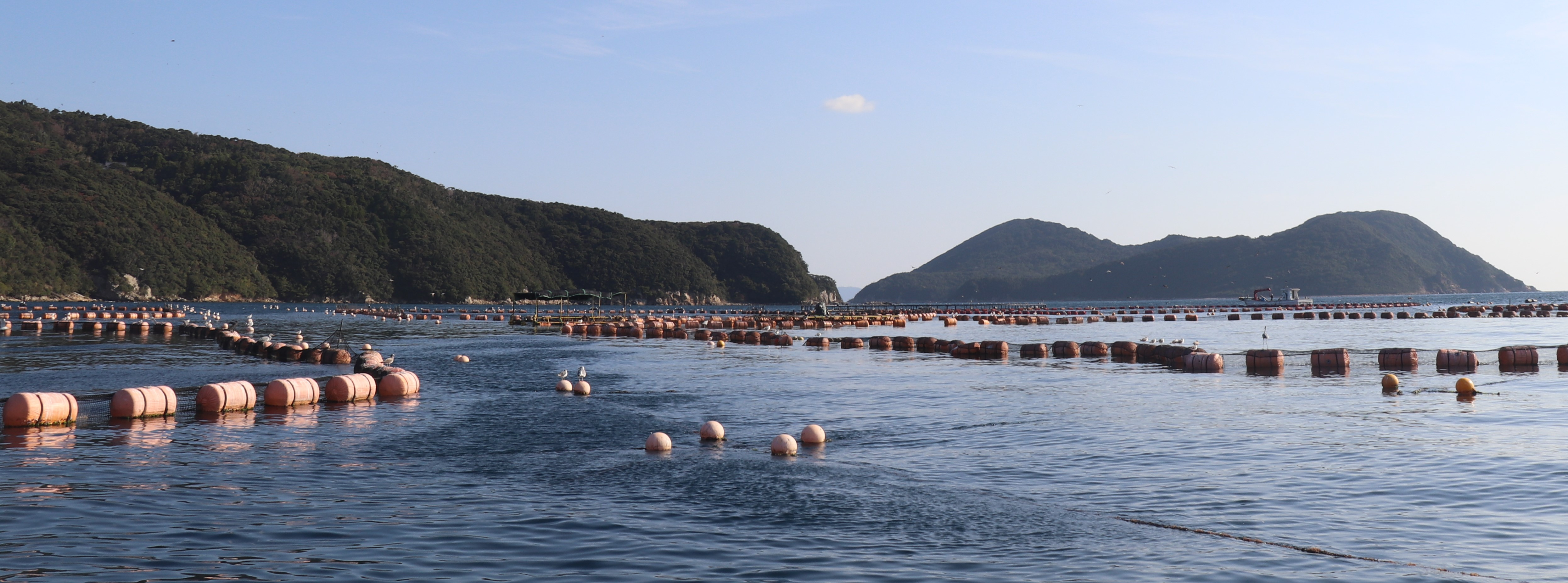 やる気次第で何でも提案できるから、面白い。【社員インタビュー＃02】