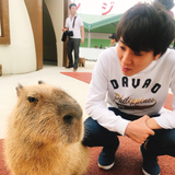 Shin Nagai