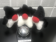 育成に有利だったので、Java中心でやってきました。　なんか最近はKotlinの会社になってる気はするが。