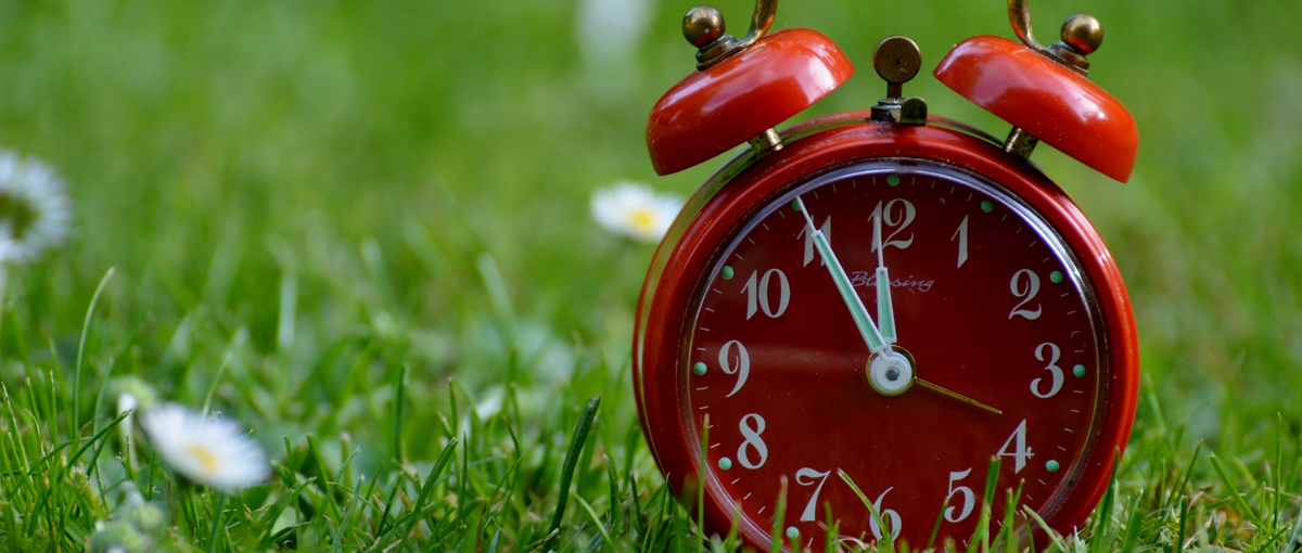 ゼロからWEBデザイナーを目指す方募集！教育と実践で目指す自分へ