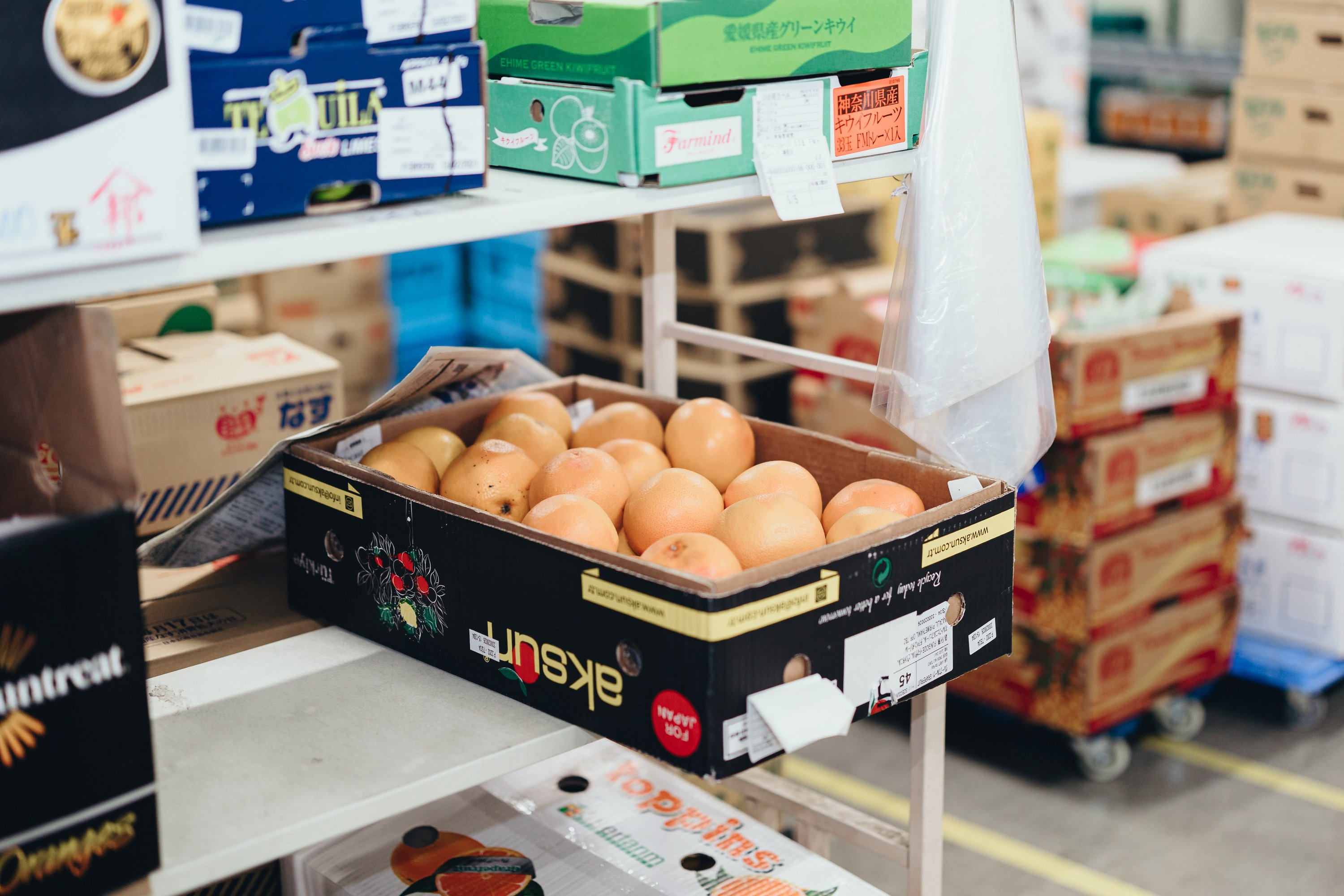 ベジクルで叶えたい“もう一度、産業を変える挑戦”│人事目線で見たベジクルの伸びしろと可能性