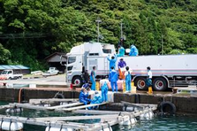 お試しからでもOK！水産業×まちづくりを担う地域おこし協力隊募集！