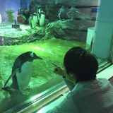小迫 雄太