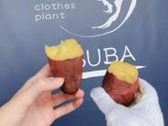 システムを納品した農家さんと繋がり、仕入れて新たな事業も展開