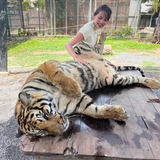渡辺 佳奈子
