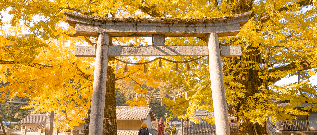 インスタ運用経験者歓迎！SNSアカウント運用代行事業の中核メンバー募集！