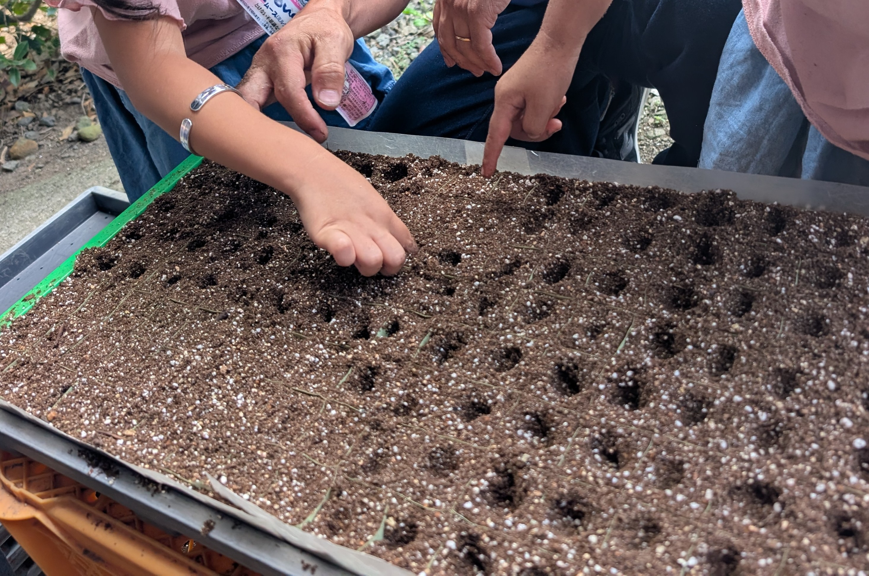 新しい働き方で見つけた、自分らしいライフスタイル