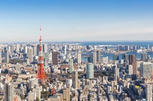 新規事業を立ち上げるので、弊社に対してコンサルをお願い！