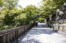 第二創業期のコアメンバー募集｜好きな場所から得意を活かして活躍しよう！