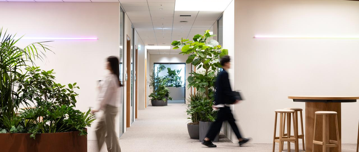 全社クリエイティブを向上させるコミュニケーションデザイナー