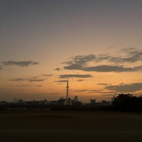 Satone Sekino