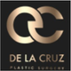 delacruzplastic
