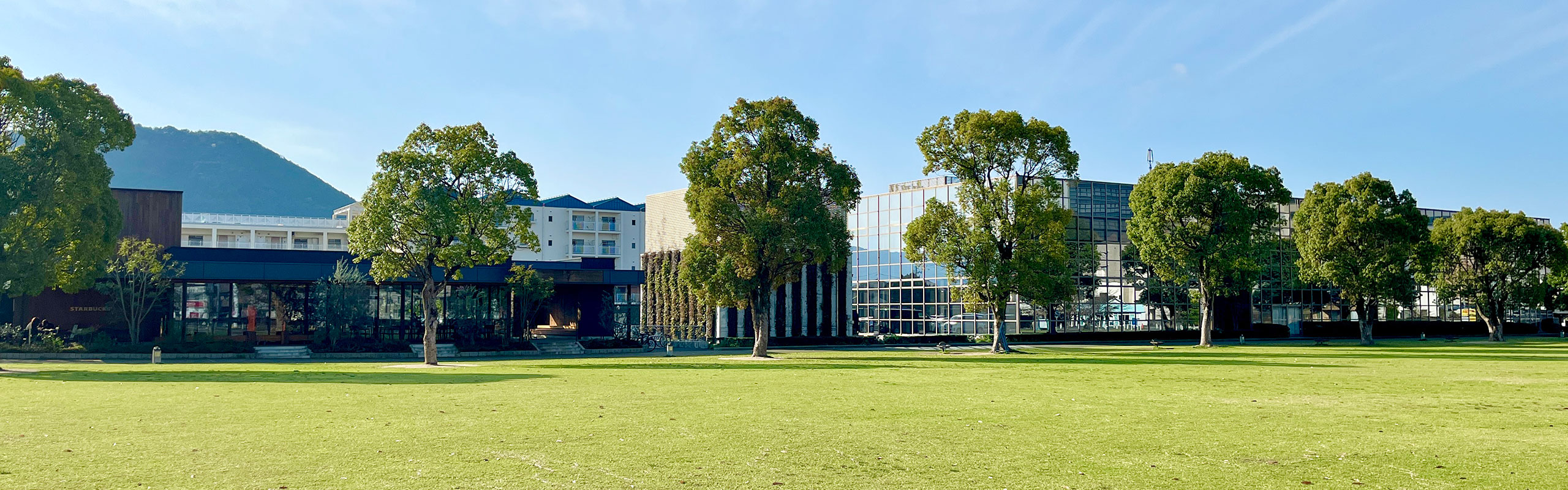 チームの成り立ちと、働き方への思い