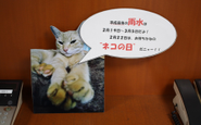 受付では、暦情報と猫でお出迎え。昔ながらの暦や二十四節気をいかに“いま”に取り入れるか。ペットとの共生をいかに実現するかを追求するのが私たちの使命です。