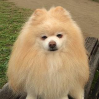 伊達さんのプロフィール