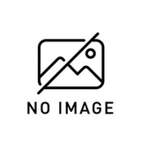 MURASAKI NOA
