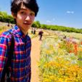 ツムツム( *´艸｀)