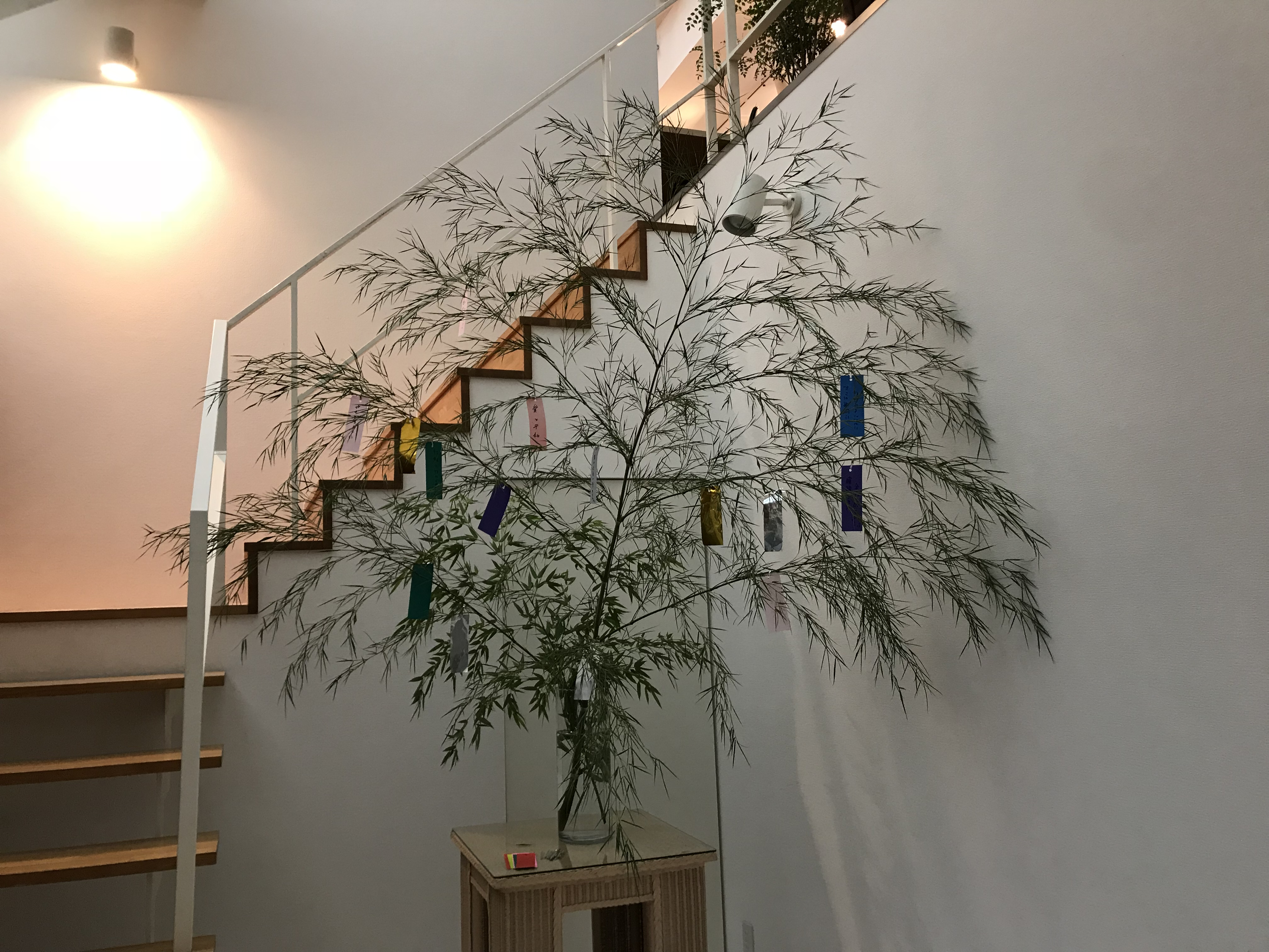 七夕の笹が設置されました