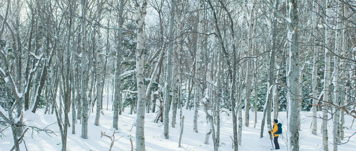 世界を惹きつけるような、旅する理由をつくり出す。｜新卒から挑戦