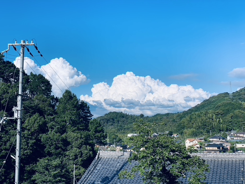 自然溢れる和歌山で、東京の熱量を感じながらリモートワーク