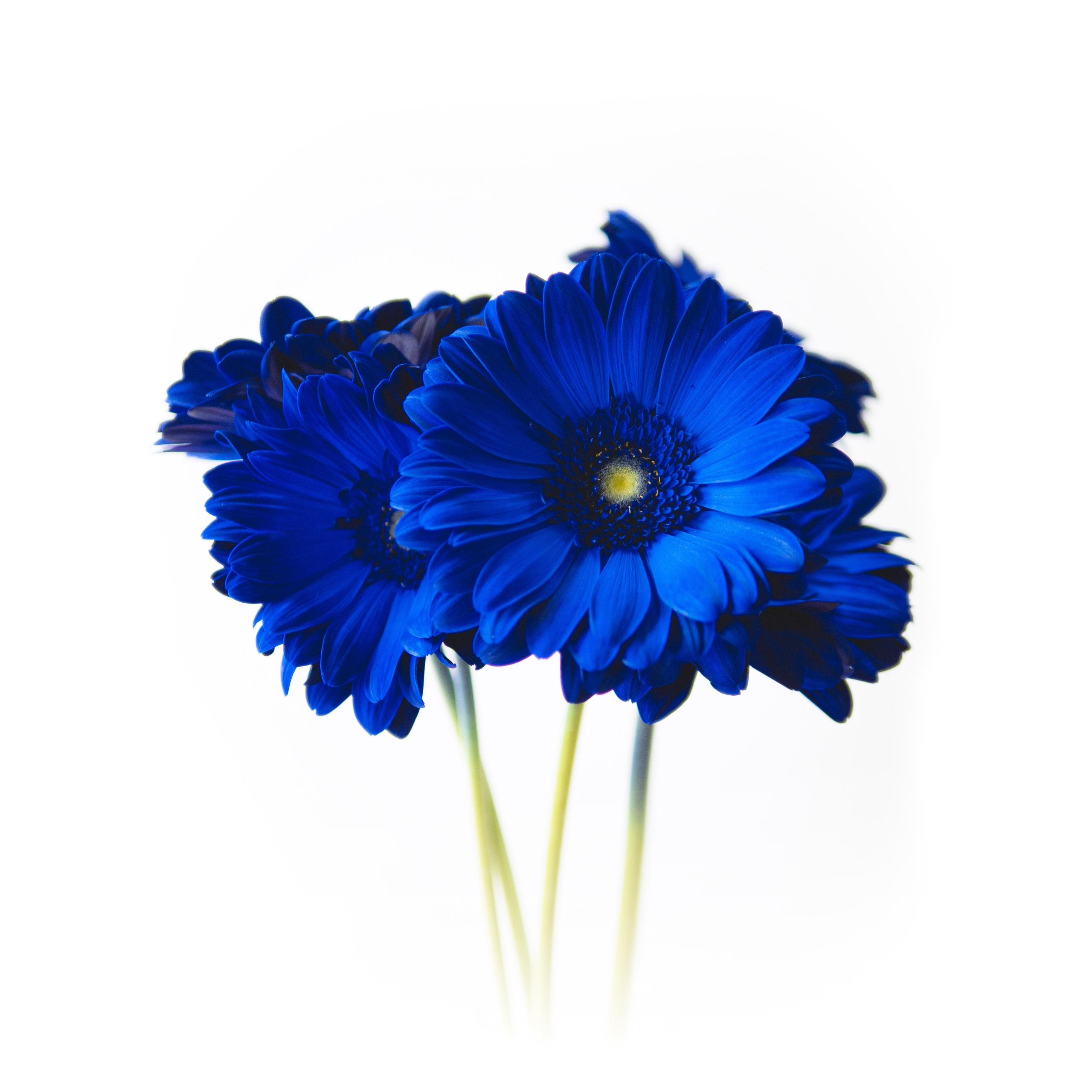 【2022年版】CAVINのMVVについて