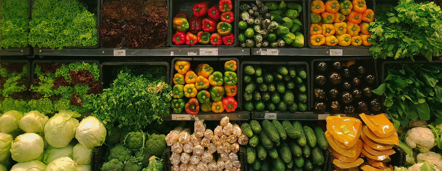 SDGsをはじめる（目標１２：つくる責任 つかう責任）