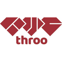 スルー株式会社の会社情報