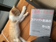 セブンコードに住んでいる猫「ジャバ美」だ。かわいいだろう...？