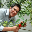 Dennis Romero